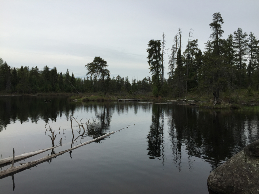 Kawishiwi River between Lake Polly and Koma Lake